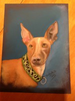 /album/galerie-photos/photo-832-jpg/